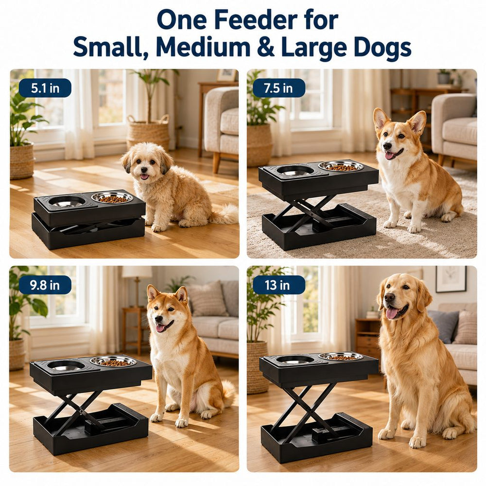 Remote-Control Adjustable Dog Feeding Station for Home Meals