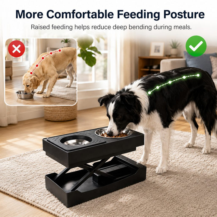 Remote-Control Adjustable Dog Feeding Station for Home Meals