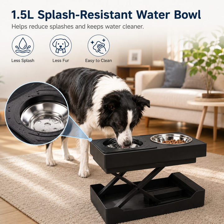Remote-Control Adjustable Dog Feeding Station for Home Meals