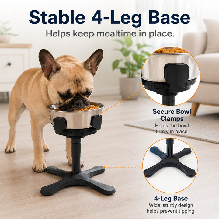 French Bulldog Adjustable Elevated Tilted Dog Bowl for Kitchen Feeding Corners