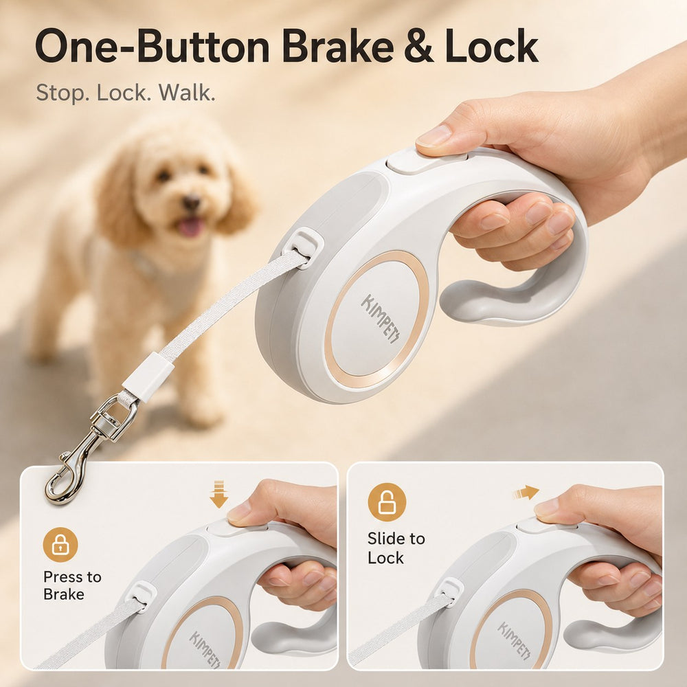 Retractable Dog Leash for Daily Walks & Park Outings