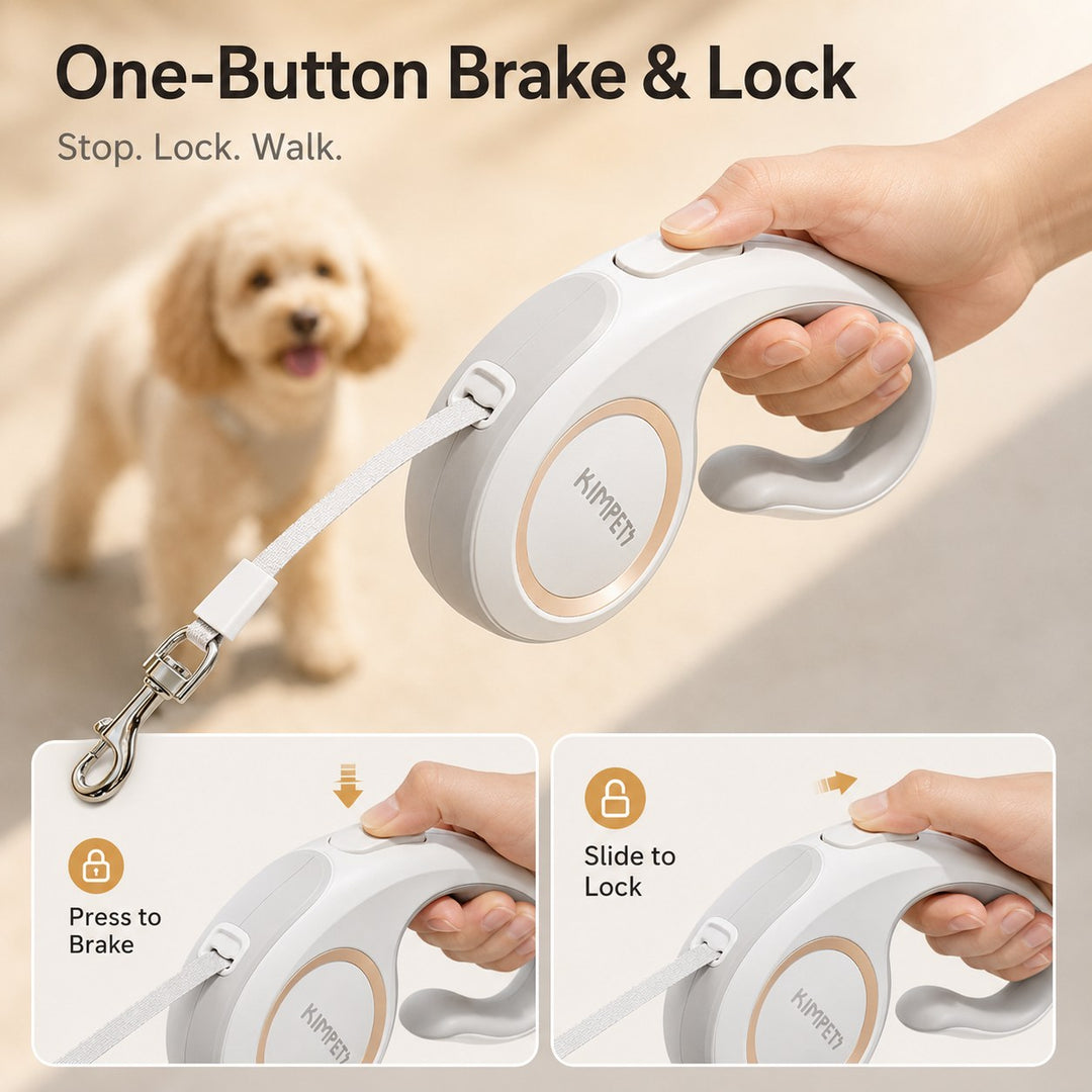 Retractable Dog Leash for Daily Walks & Park Outings