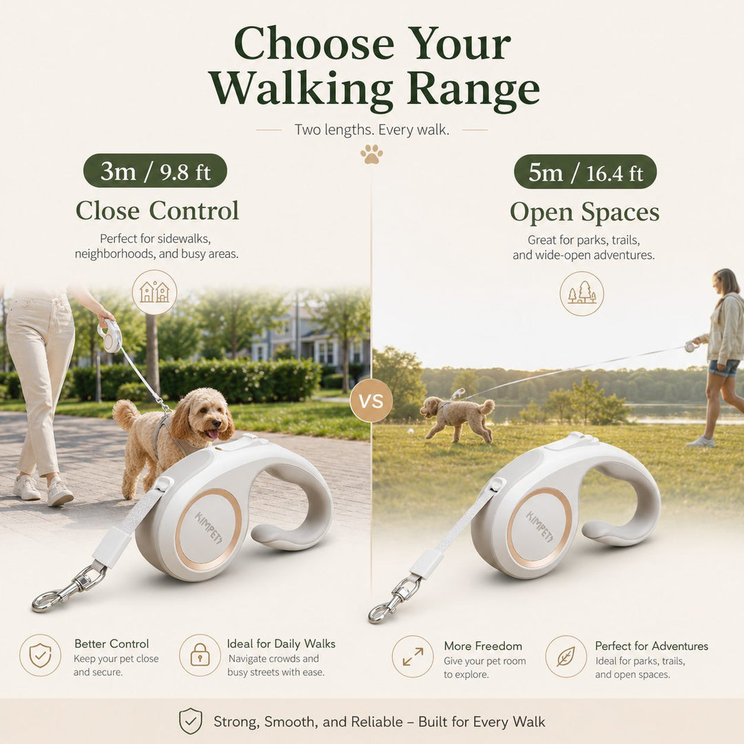 Retractable Dog Leash for Daily Walks & Park Outings