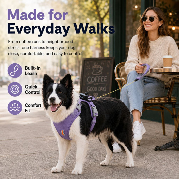2-in-1 No Pull Dog Harness with Built-in Retractable Leash