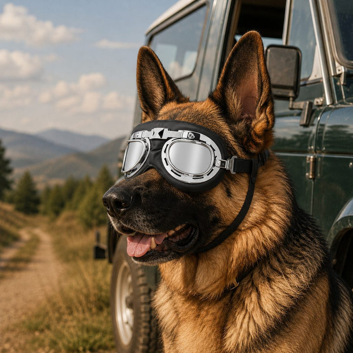 Retro Aviator Dog Goggles for Hiking & Road Trips