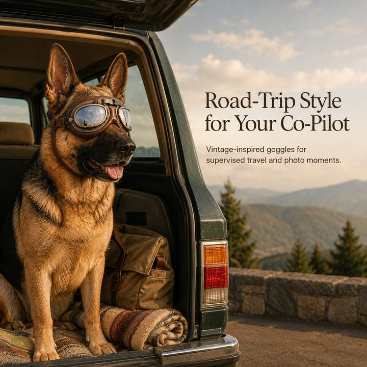 Retro Aviator Dog Goggles for Hiking & Road Trips