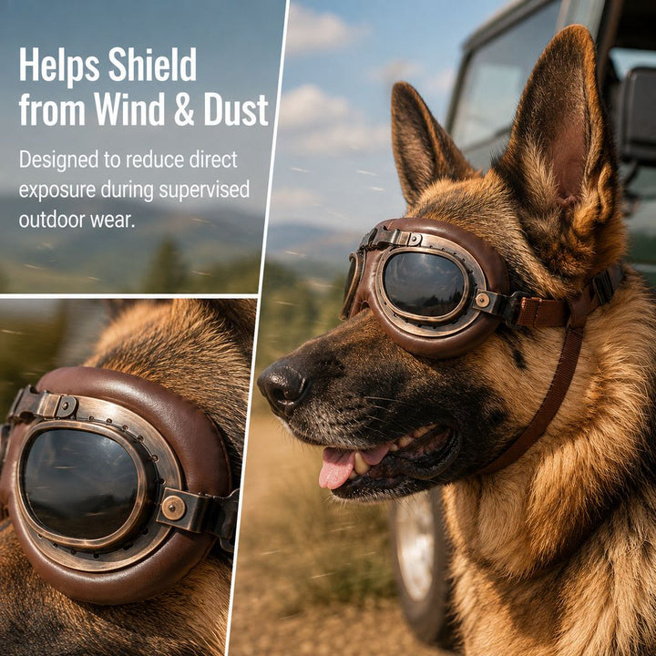 Retro Aviator Dog Goggles for Hiking & Road Trips