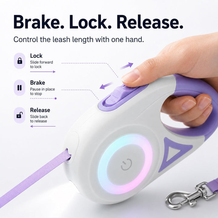 LED Retractable Dog Leash for Night Walks