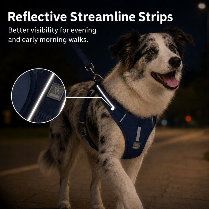 Reflective Dog Harness for Night Walks, Daily Park Walks & No-Neck-Pull Comfort