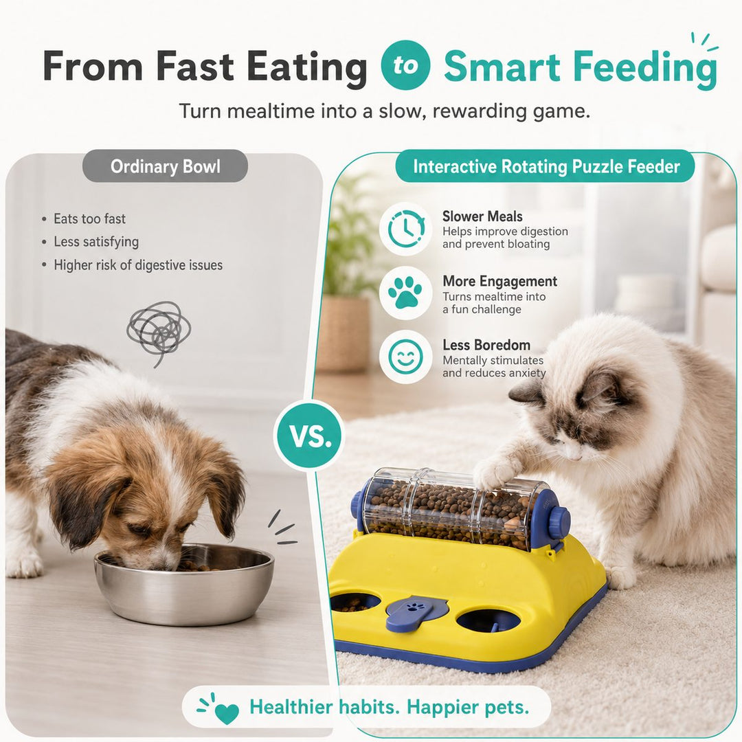 Indoor Rotating Puzzle Feeder for Cats & Small Dogs