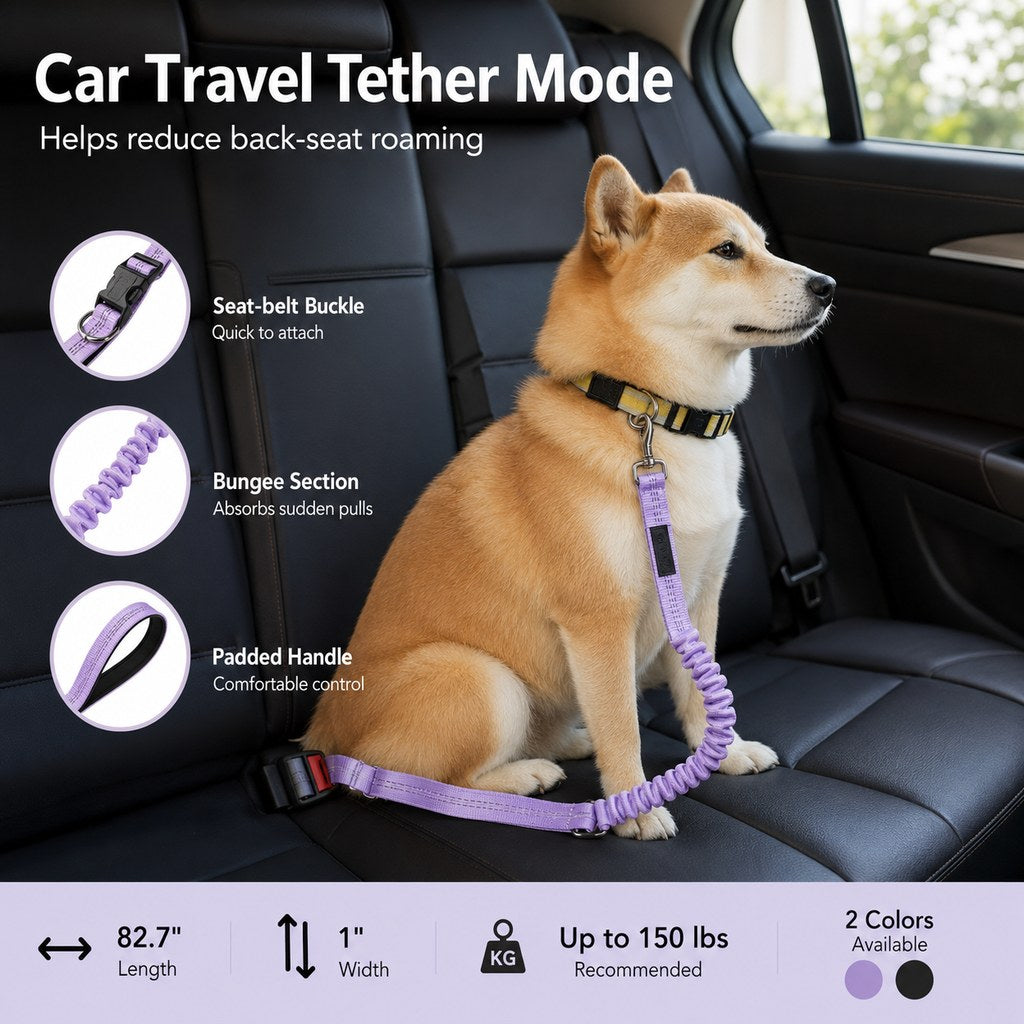 Hands-Free Shock-Absorbing Dog Leash for Running, Walking & Car Travel