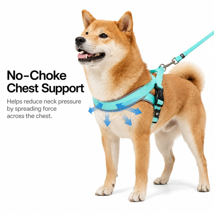 Quick-Fit Lightweight Dog Harness & Leash Set for Daily Walks