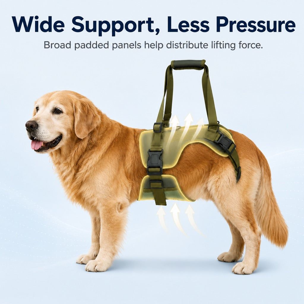 Rear Support Dog Lift Harness for Stairs, Walks & Recovery