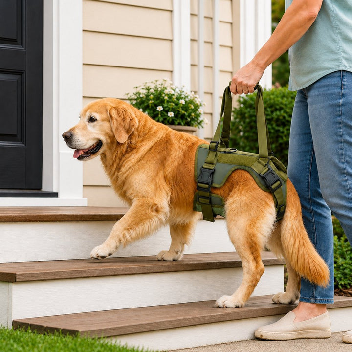 Rear Support Dog Lift Harness for Stairs, Walks & Recovery
