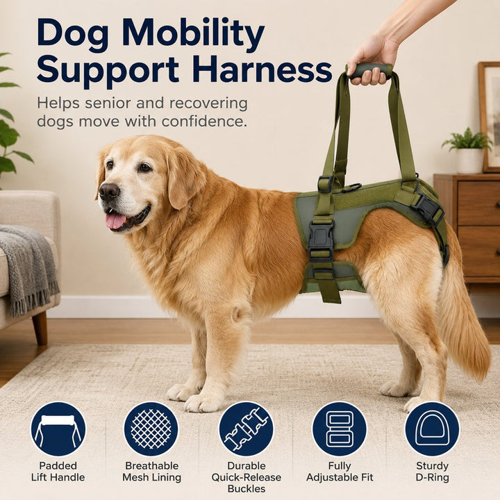Rear Support Dog Lift Harness for Stairs, Walks & Recovery