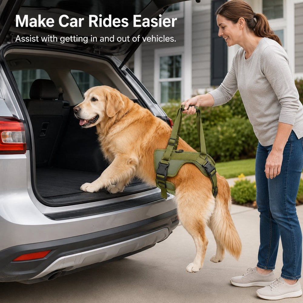 Rear Support Dog Lift Harness for Stairs, Walks & Recovery