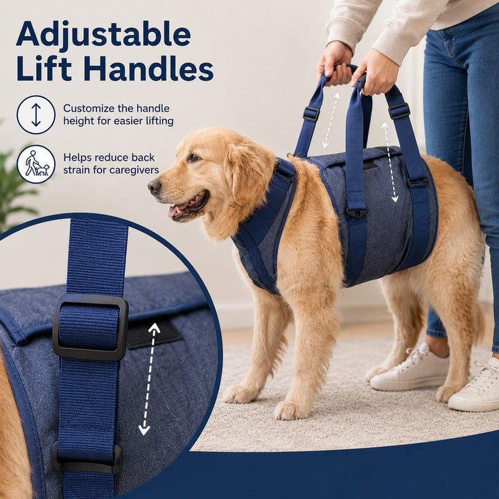 Senior Dog Lift Harness for Stairs, Cars & Daily Walking | Full-Body Support for Weak Legs