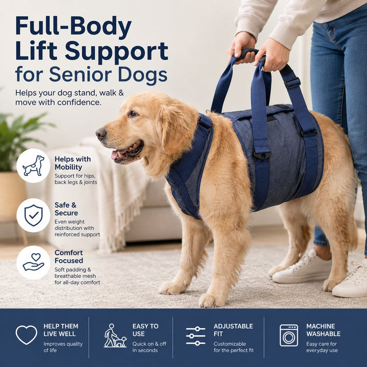 Senior Dog Lift Harness for Stairs, Cars & Daily Walking | Full-Body Support for Weak Legs