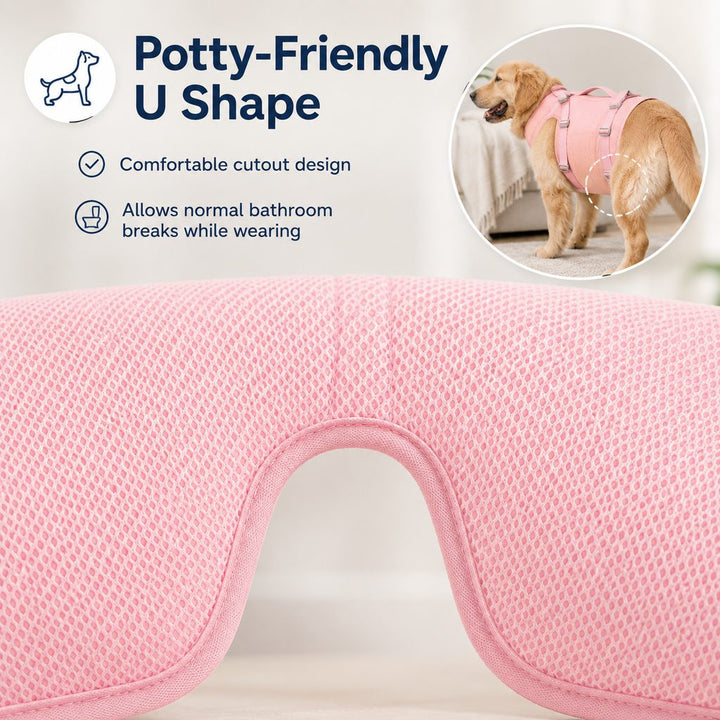 Senior Dog Lift Harness for Stairs, Cars & Daily Walking | Full-Body Support for Weak Legs