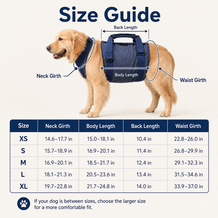 Senior Dog Lift Harness for Stairs, Cars & Daily Walking | Full-Body Support for Weak Legs