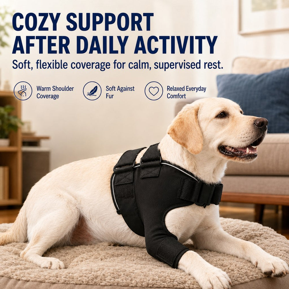 Senior Dog Shoulder & Front Leg Support Brace for Cold Walks & Daily Comfort