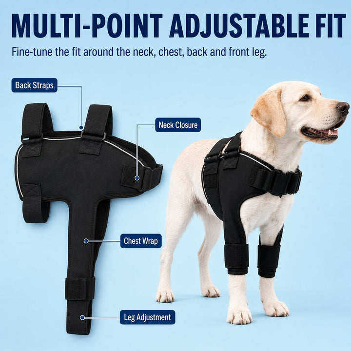 Senior Dog Shoulder & Front Leg Support Brace for Cold Walks & Daily Comfort