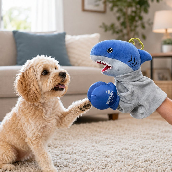 Interactive Boxing Pet Puppet for Indoor Play