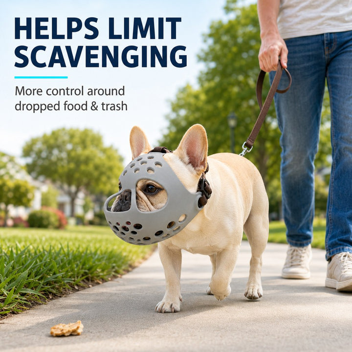 Short-Snout Dog Muzzle for French Bulldogs