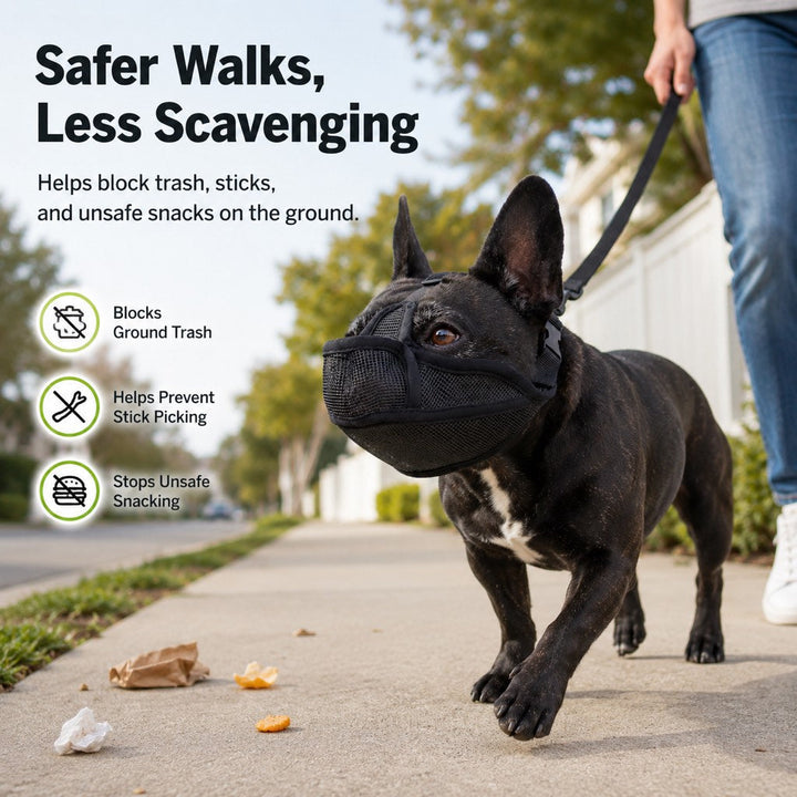 French Bulldog Breathable Mesh Muzzle for Walks, Grooming & Scavenging Control