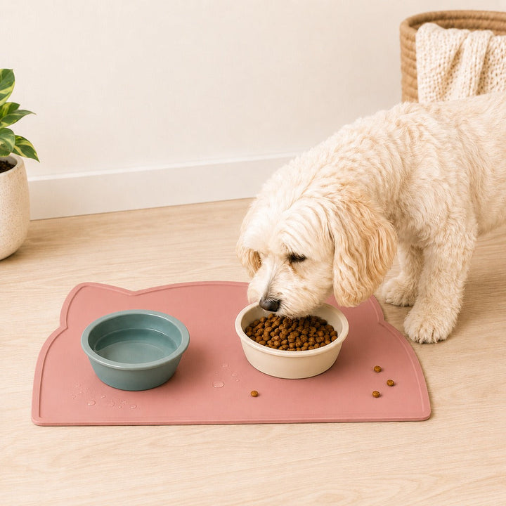 Raised-Edge Silicone Pet Feeding Mat for Cats & Dogs | Keeps Floors Clean at Mealtime