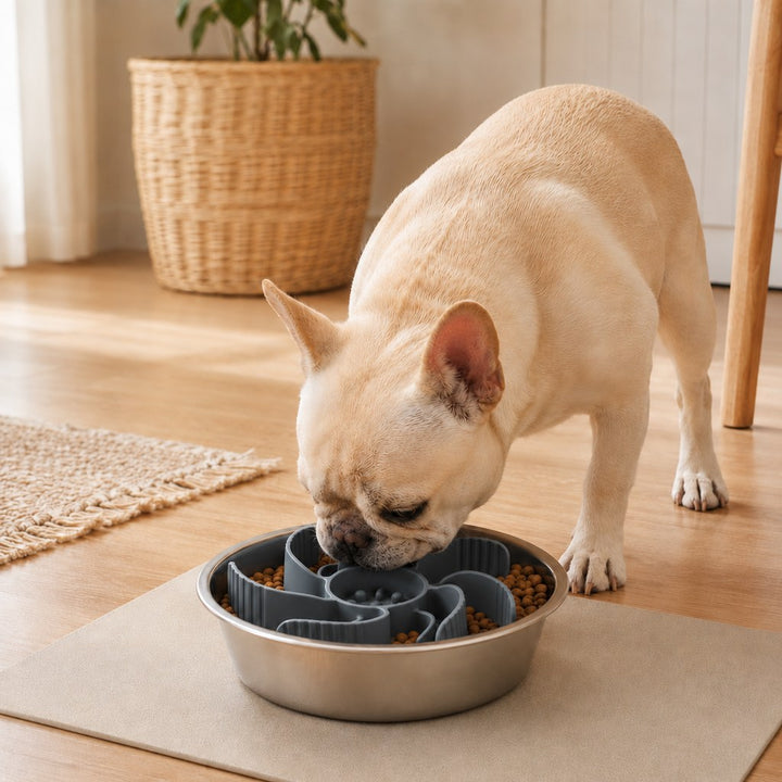 Cut-to-Fit Slow Feeder Insert & Stainless Steel Bowl Set for Fast-Eating Dogs & Cats