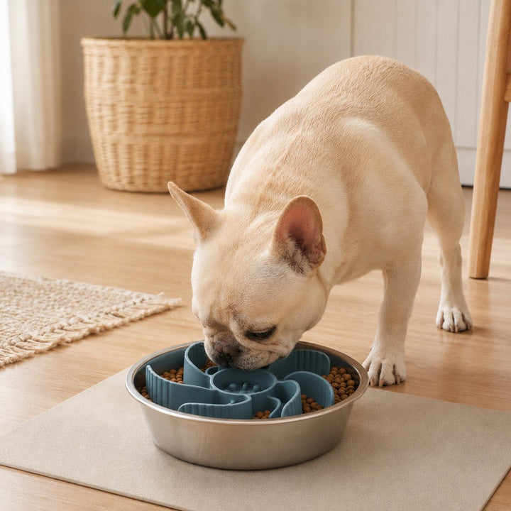 Cut-to-Fit Slow Feeder Insert & Stainless Steel Bowl Set for Fast-Eating Dogs & Cats