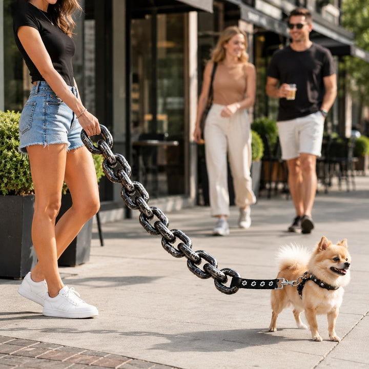 Oversized Chain Dog Leash & Collar Set for Small Dogs | Make Everyday Walks Stand Out