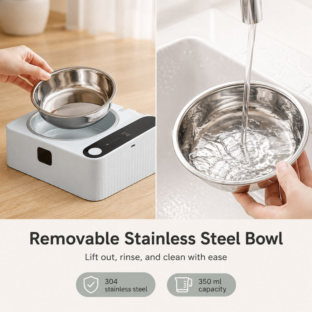 Smart Motion Sensor Covered Cat Bowl for Cleaner Indoor Feeding