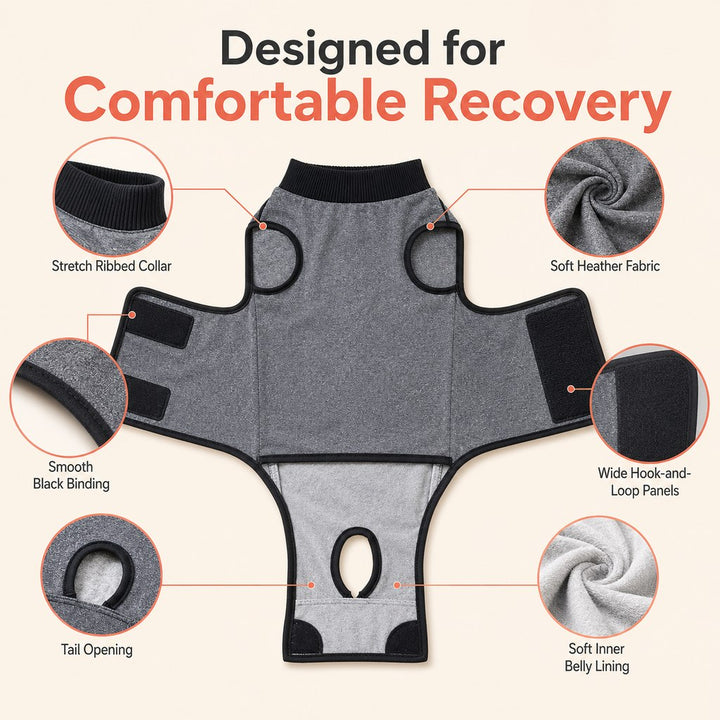 Dog Recovery Suit After Surgery