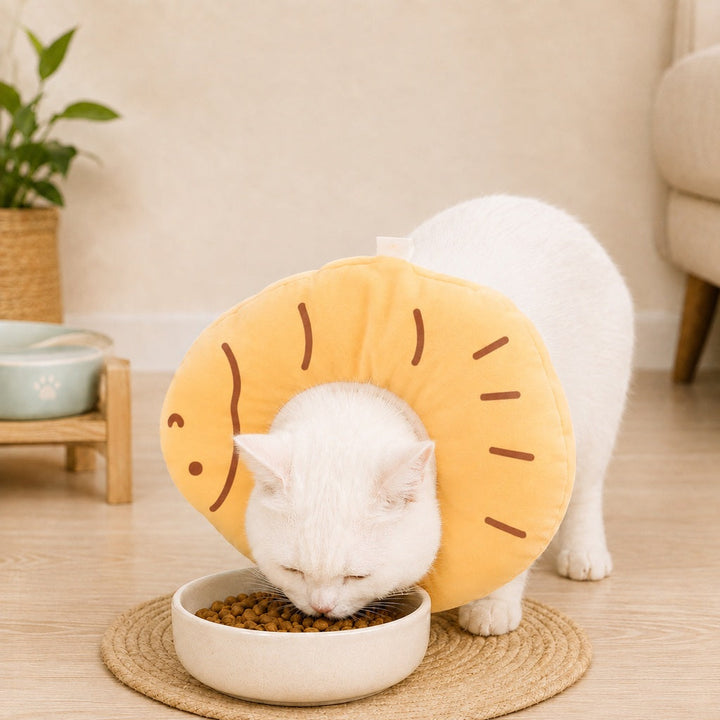 Soft Cat Recovery Collar for Eating & Sleeping | Adjustable Cone Alternative