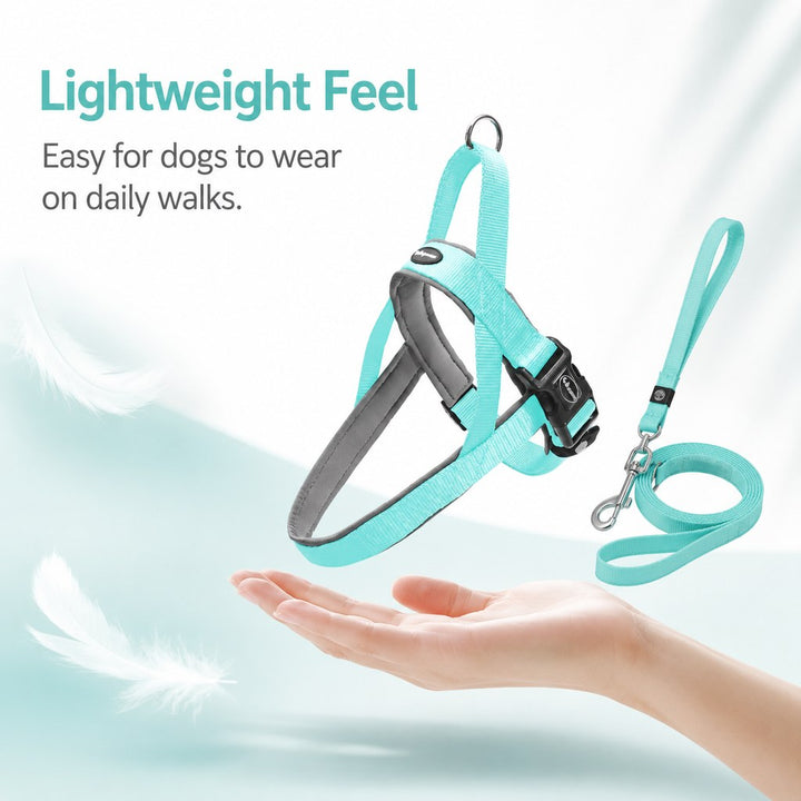 Quick-Fit Lightweight Dog Harness & Leash Set for Daily Walks