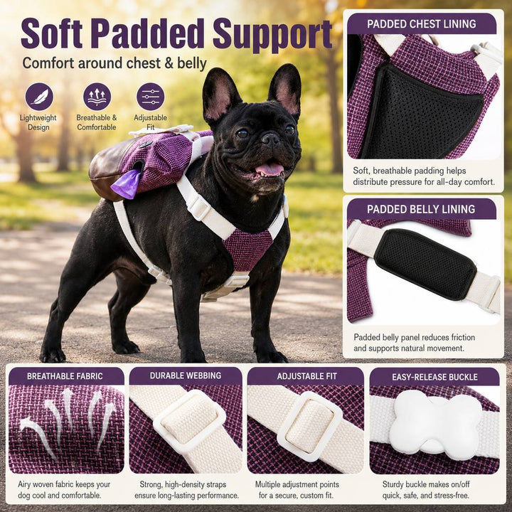 Frenchie Adventure Backpack Harness for Daily Walks