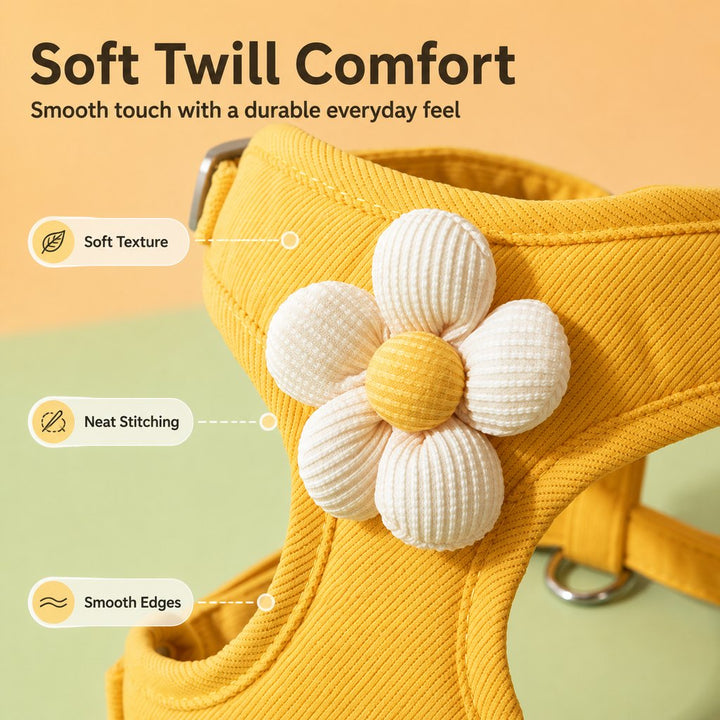 Daisy Pet Harness & Leash Set for Daily Walks