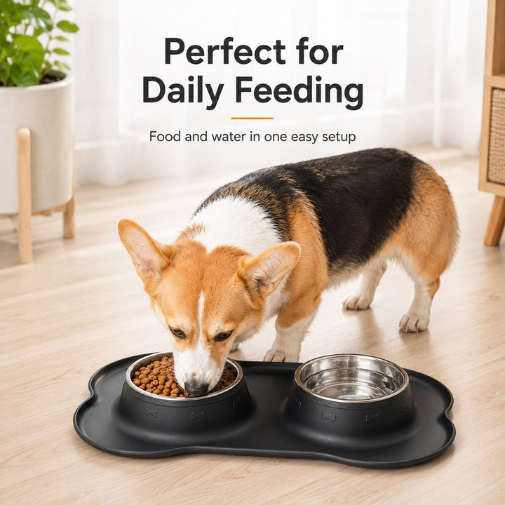 Spill-Proof Dual Pet Bowl for Cats & Dogs | Mess-Free Food & Water Station for Cleaner Floors