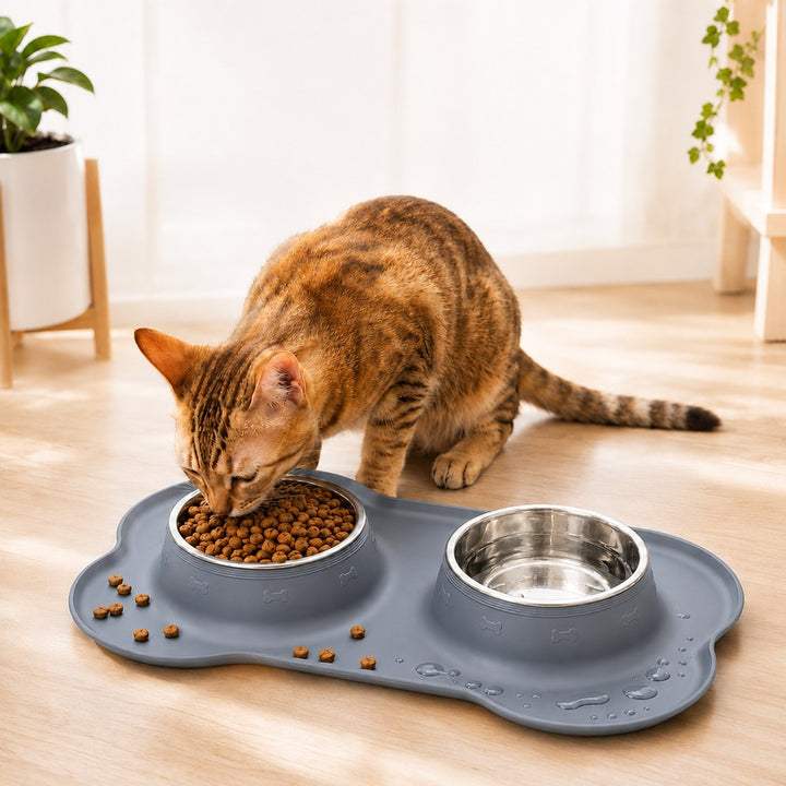Spill-Proof Dual Pet Bowl for Cats & Dogs | Mess-Free Food & Water Station for Cleaner Floors