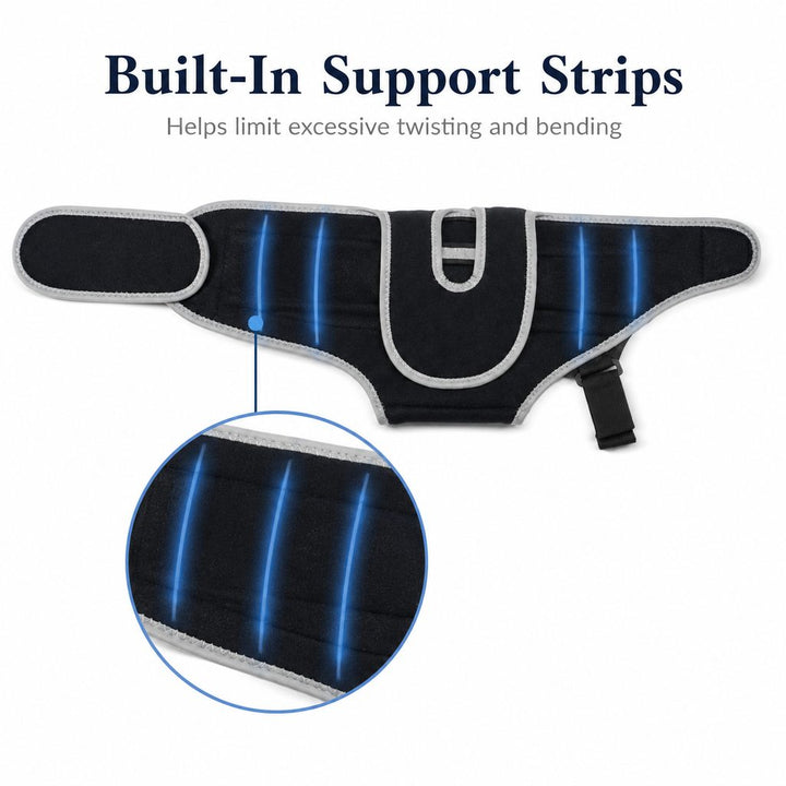 SpineGuard Dog Back Support Vest for Dachshunds & Corgis