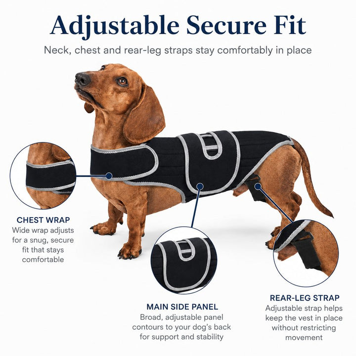 SpineGuard Dog Back Support Vest for Dachshunds & Corgis