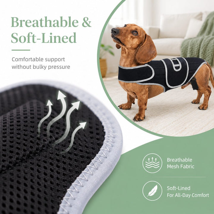 SpineGuard Dog Back Support Vest for Dachshunds & Corgis