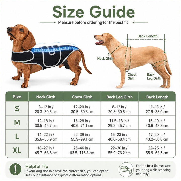 SpineGuard Dog Back Support Vest for Dachshunds & Corgis