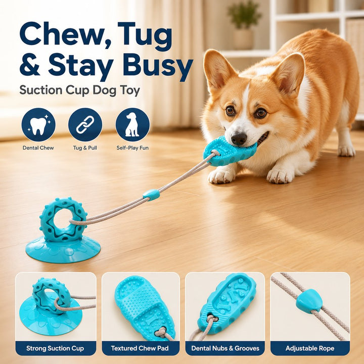 Suction Cup Dog Chew & Tug Toy for Indoor Play | Helps Redirect Shoe Chewing & Burn Boredom