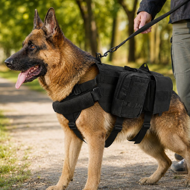 Tactical Dog Backpack Harness for Hiking & Daily Walks