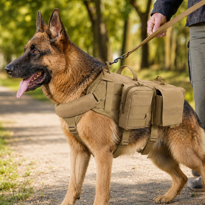 Tactical Dog Backpack Harness for Hiking & Daily Walks