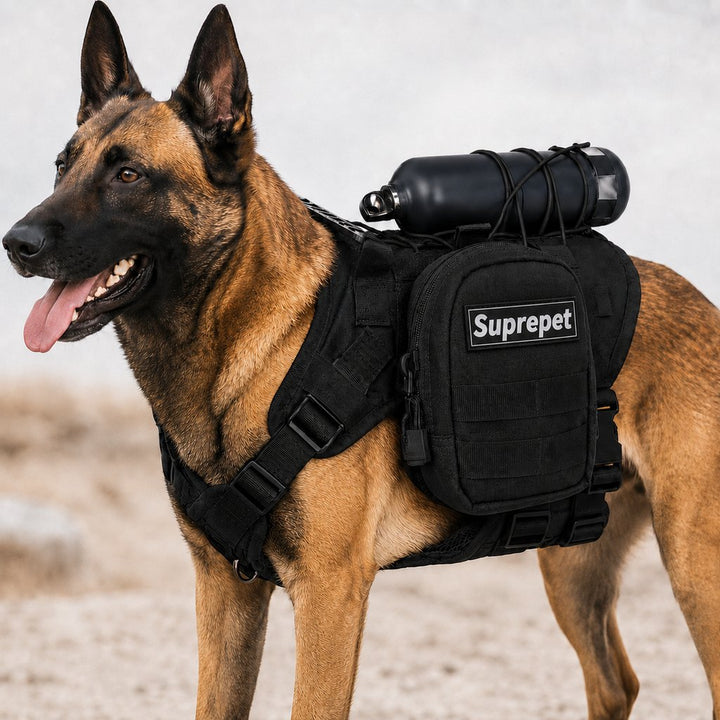 Tactical Dog Harness Backpack for Large Dogs