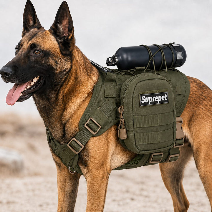 Tactical Dog Harness Backpack for Large Dogs